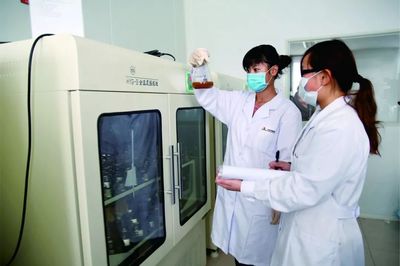 攜手生物技術，引領飼料工業(yè)新未來——北京大北農(nóng)科技集團股份協(xié)辦2019中國飼料工業(yè)展覽會