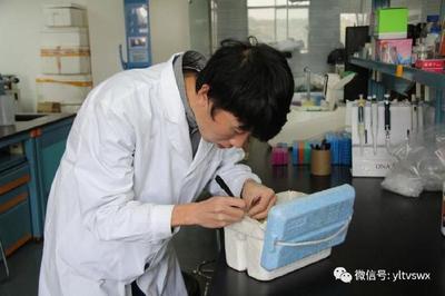 楊凌與河南大學共建“現(xiàn)代農(nóng)業(yè)與生物技術研究院”，加速生物技術推廣