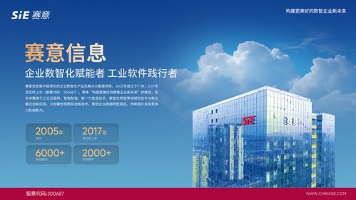 賽意信息入選2024行業(yè)軟件企業(yè)活力與服務(wù)力Top30，彰顯北京信息技術(shù)咨詢服務(wù)實(shí)力